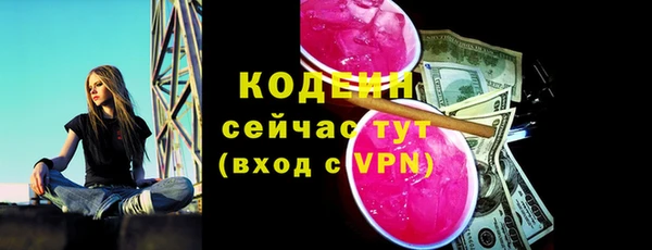 дурь Михайловск