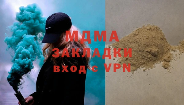 шишки Медвежьегорск