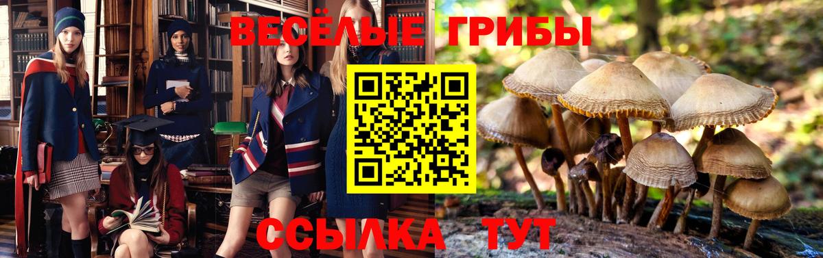 Лысьва  Галлюциногенные грибы прущие грибы  Вход с VPN 